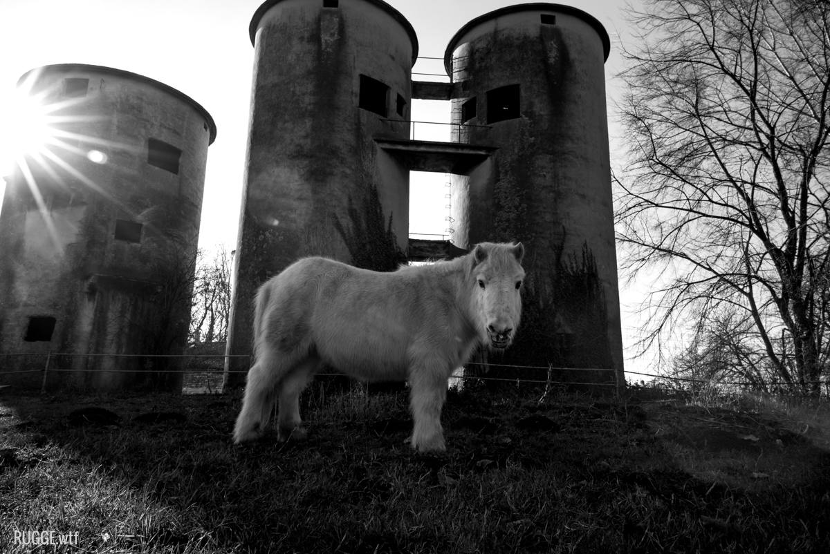 remedello horse silos rugge.wtf